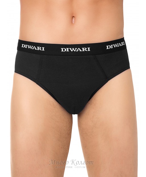 Diwari Basic Slip 148